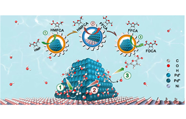 Rational design of metal-metal hydroxide interface for efficient electrocatalytic oxidation of biomass-derived platform molecules 2024.100418